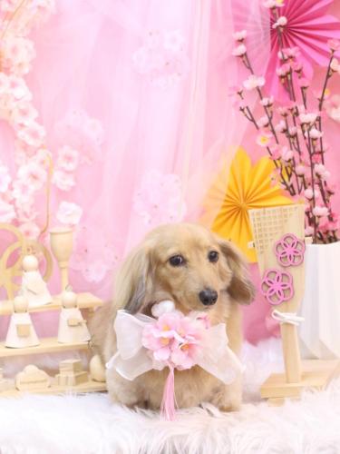 20250309モカちゃん